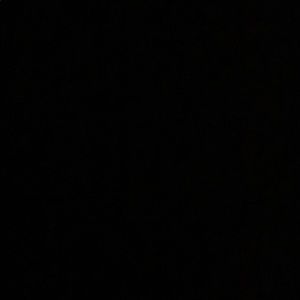 Meet your Posher, Budny